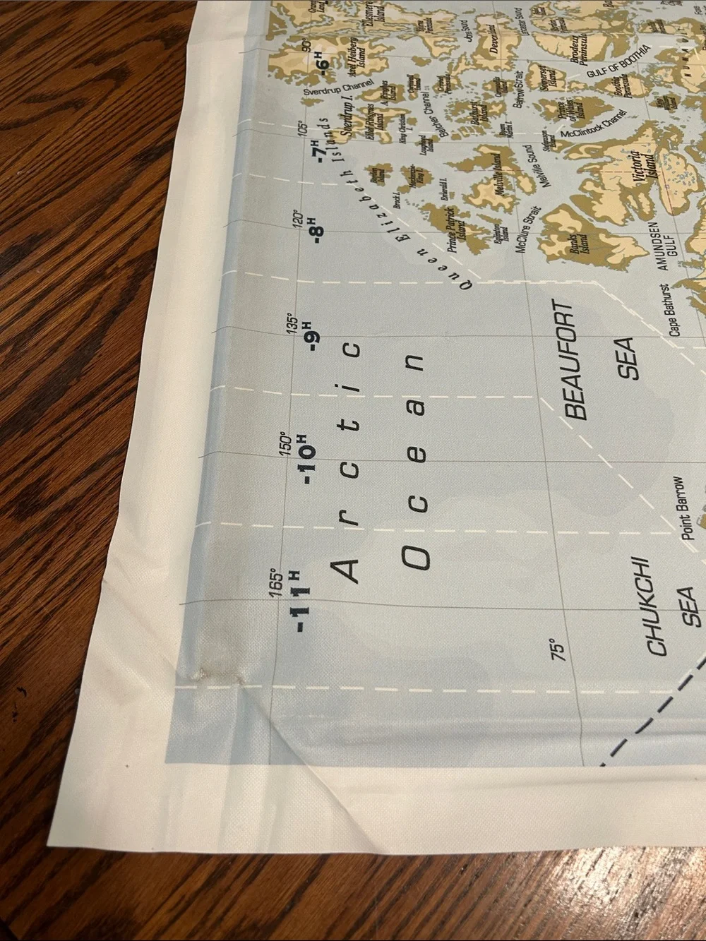 IKEA world map canvas wall art